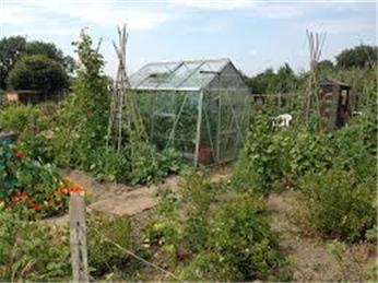 Allotment - Southwood Extention